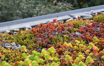 the cost of Patrick Brompton green roof installation