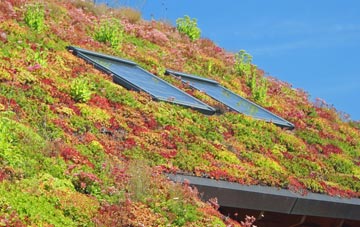 Patrick Brompton living roof systems