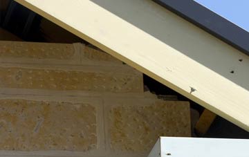 soffit repair Patrick Brompton