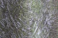 Patrick Brompton fibreglass roof work